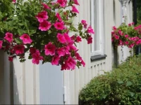 Vita Huset B&B SГ¶lvesborg 