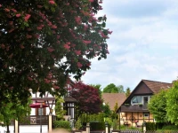 Ferienwohnungen Klosterblick 