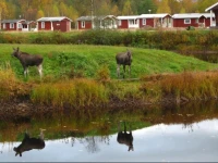 KlarГ¤lvens Camping 