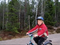 TyngsjГ¶ Vildmark 