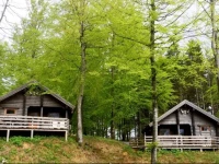 Stugby Ullared Paradise 