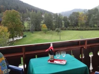 Schwarzwaldhaus am Kurpark 3*