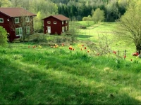HГ¤radssГ¤tter GГҐrd 
