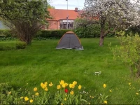 Central Vimmerby villa 