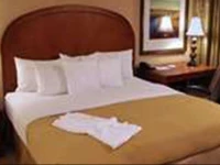 Homewood Suites Dallas-Addison 