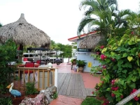 Conch On Inn Motel 