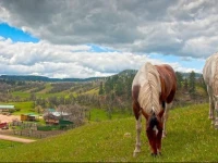 Diamond 7 Bar Guest Ranch 3*