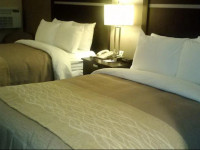 Comfort Inn & Suites Albany