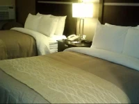 Comfort Inn & Suites Albany 