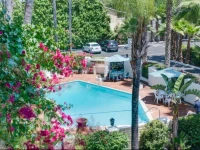 Hotel Pepper Tree 