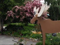 Anchorage Walkabout Town Bed and Breakfast 