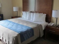 Comfort Inn Apalachin 2*