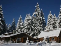 Cedar Mountain Farm Bed and Breakfast LLC 