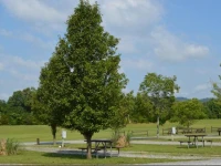 Baileyton RV Park & Cabins вЂ“ A Cruise Inn Park 