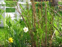 Baldwinsville Bed and Breakfast 