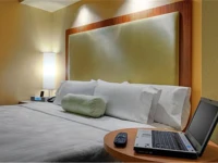 SpringHill Suites by Marriott Baton Rouge North / Airport 