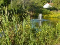 Quality Inn Saint Helena - Beaufort South 