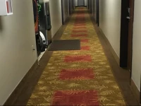 Becker inn & Suites 
