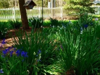 Meris Gardens B&B 