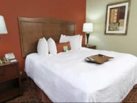 Hampton Inn Birmingham-Colonnade 