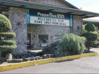 Pepper Tree Inn 