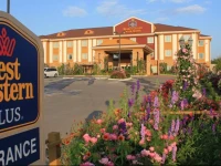 Best Western Plus Blanco Luxury Inn and Suites 
