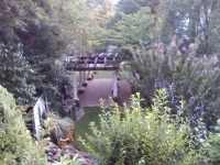 Bluefield Inn 