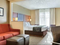 Comfort Suites Boise Airport 