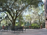 Hilton Garden Inn Tampa East/Brandon 