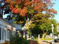 The Brandon Inn 