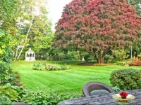 Forty Putney Road B&B 