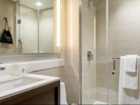 Holiday Inn Brooklyn Downtown 