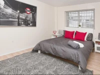 Beautiful Apartment in Brooklyn With Backyard 