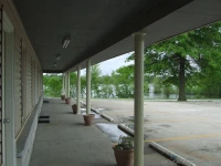 Best Budget Inn 
