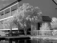 Hotel Alsace 