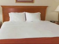 Baymont Inn Suites in Chelsea 