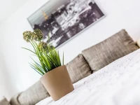 Apartment Humboldt-Gremberg 4km bis Koln Messe 