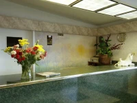 Delux Inn Cleburne 