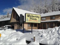 Whispering Pines 