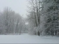 Cohocton Valley Inn 