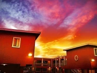Royal Inn Motel 