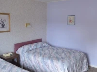 Terrace Motor Inn 