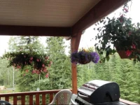 Aura Borealis B & B 