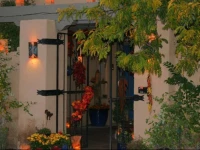 Chocolate Turtle B&B 