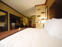 Best Western Plus Texoma Hotel and Suites Denison / Sherman 