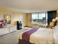 Quality Inn Dundee 