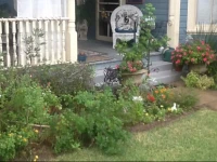 Swann Hotel Bed & Breakfast In Jasper Texas 
