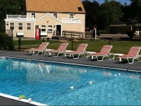 Viking Shores Motor Inn 