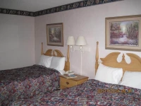 Elk Inn 