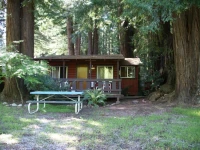 Fern River Resort 